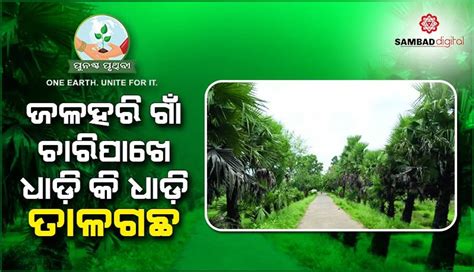 looking sambad|Sambad – Sambad, Odisha Latest News, Breaking News Odisha, .